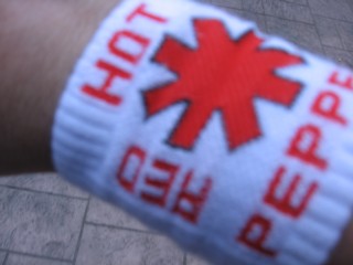 Slike sa koncerta grupe Red Hot Chili Peppers koji je odrzan u Indjiji 26. juna 2007.