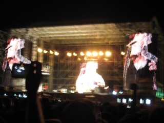 Slike sa koncerta grupe Red Hot Chili Peppers koji je odrzan u Indjiji 26. juna 2007.