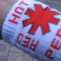 Slike sa koncerta grupe Red Hot Chili Peppers koji je odrzan u Indjiji 26. juna 2007.